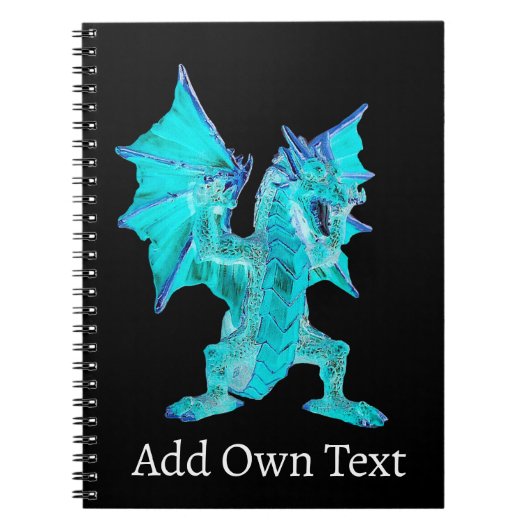 Carnet Esprit Dragon d'Eau de la Marée de Cristal Royaume (Devant)