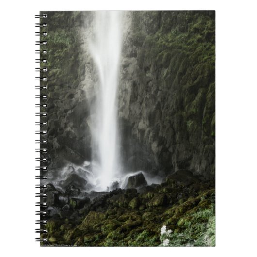 Carnet Esprit du bassin (Devant)