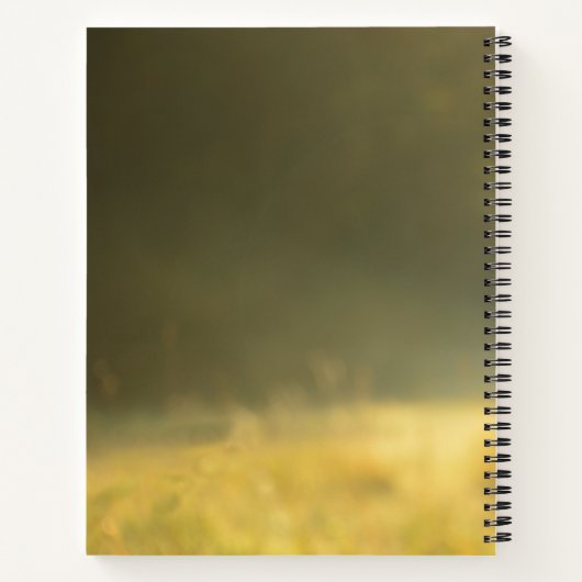 Carnet Esprit positif - Vibes positives - Vie positive - (Dos)