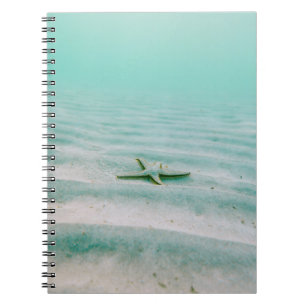 Carnet Estarfish blanche sur sable sous l'eau le matin