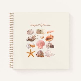 Carnet esthétique des coquillages marins côtiers