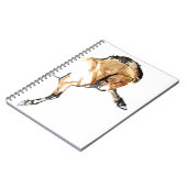 Carnet Étalon (Côté gauche)