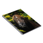 Carnet Étalon Arabe (Côté Droit)