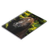 Carnet Étalon Arabe (Côté gauche)