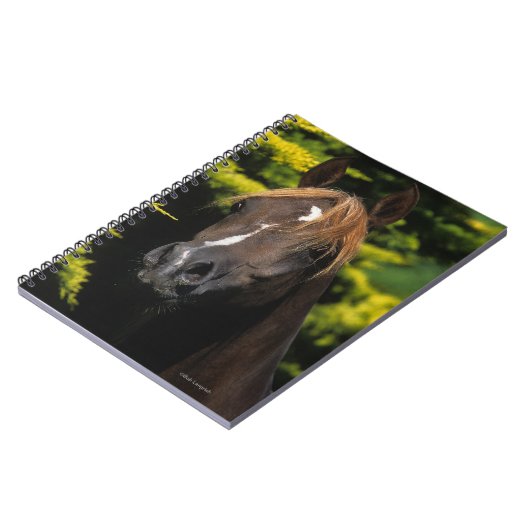 Carnet Étalon Arabe (Côté gauche)