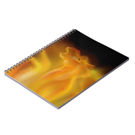 Carnet Étalon du feu (Côté gauche)