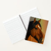 Carnet Étalon sauvage, Lumière dorée et Arc-en-ciel (Intérieur)