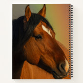 Carnet Étalon sauvage, Lumière dorée et Arc-en-ciel (Dos)