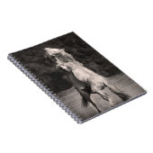 Carnet Étalons de danse (Côté Droit)