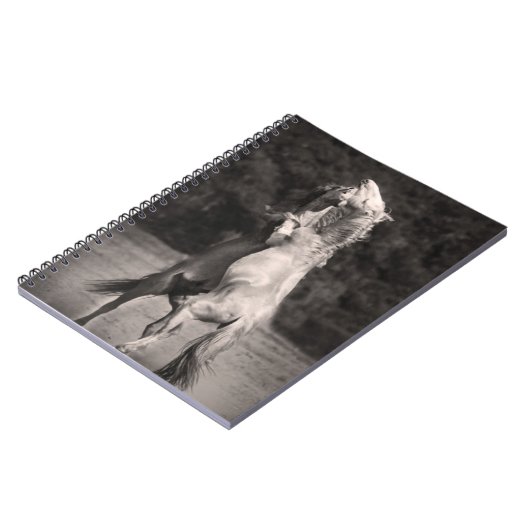 Carnet Étalons de danse (Côté gauche)