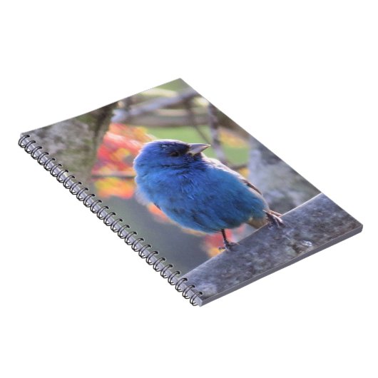 Carnet Étamine d'indigo (Côté Droit)