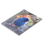 Carnet Étamine d'indigo (Côté gauche)