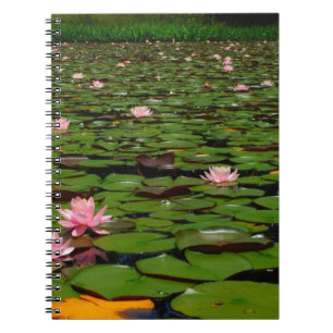 Carnet Etang de fleurs de lys d'eau rose