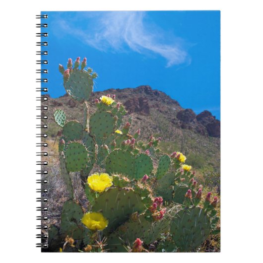 Carnet États-Unis, Arizona. Cactus dans les collines (Devant)