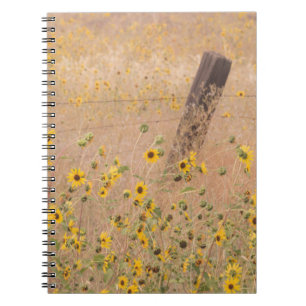 Carnet États-Unis, Californie, Adin. Clôture de fil de fe