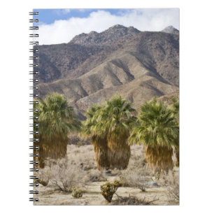 Carnet États-Unis, Californie, parc d'État du désert d'An