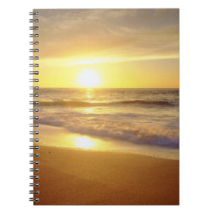Carnet États-Unis, Californie, San Diego. La Jolla Shores