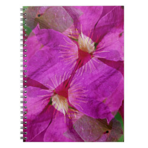 Carnet États-Unis, Colorado, Boulder. Montage de fleurs d
