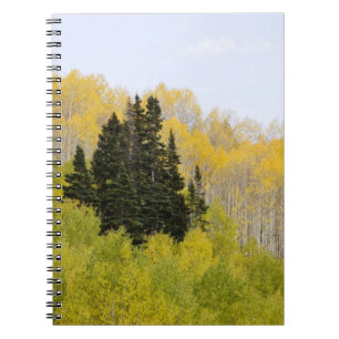 Carnet États-Unis, Colorado, forêt nationale de Gunnison,