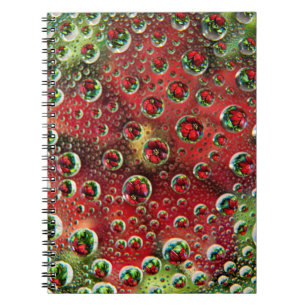 Carnet États-Unis, Colorado, Lafayette. Bulles d'eau sur