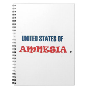 CARNET ÉTATS-UNIS D'AMNÉSIE