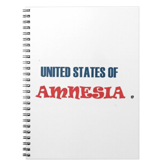 CARNET ÉTATS-UNIS D'AMNÉSIE (Devant)