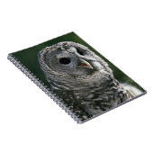 Carnet États-Unis, État de Washington. Chouette barrée (S (Côté Droit)