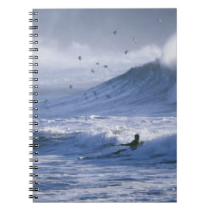 Carnet États-Unis, État de Washington, La Push. Homme en