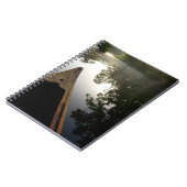 Carnet États-Unis, Floride, Forêt nationale d'Ocala, Alex (Côté gauche)