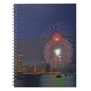 Carnet États-Unis, Illinois, Chicago, feux d'artifice du