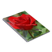 Carnet États-Unis, Kansas, Rose rouge (Côté Droit)