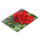 Carnet États-Unis, Kansas, Rose rouge (Côté gauche)