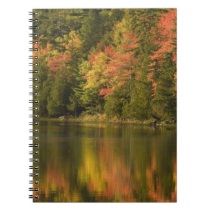 Carnet États-Unis; Maine; Parc national d'Acadia. Reflets