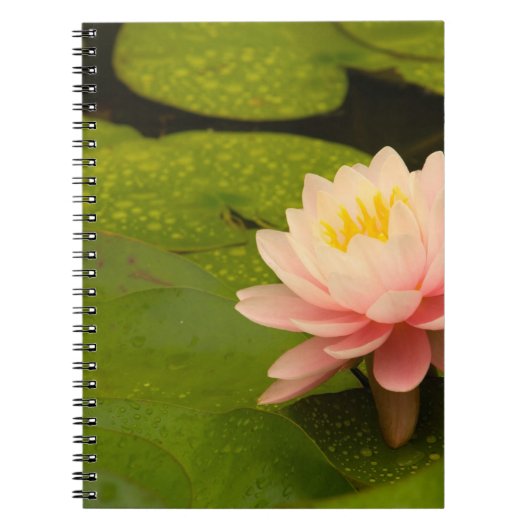 Carnet États-Unis, Maryland, Westminster, Union (Devant)