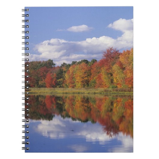 Carnet États-Unis, Massachusetts, Acton. Reflet de l'auto (Devant)