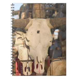 Carnet États-Unis, Nouveau-Mexique, Mesilla: Place histor