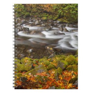 Carnet États-Unis, Oregon, Columbia River Gorge, Tanner C