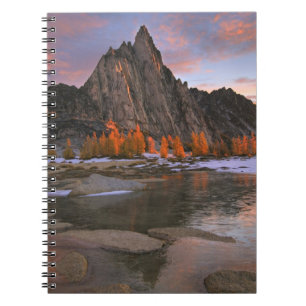 Carnet États-Unis, Washington, montagnes Cascade. Pic Pr