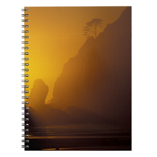 Carnet États-Unis, Washington, Olympic Nat'l Park, Sunset (Devant)