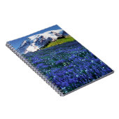 Carnet États-Unis, Washington, Parc national du Mont Rain (Côté Droit)