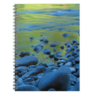Carnet États-Unis, Washington, Parc national Olympique 4
