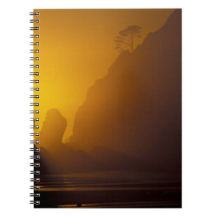 Carnet États-Unis, Washington, Parc national Olympique, C