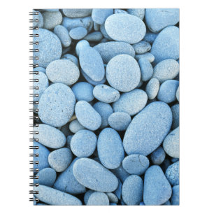Carnet États-Unis, Washington, Parc national Olympique, L