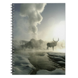 Carnet États-Unis, Wyoming, parc national de Yellowstone.