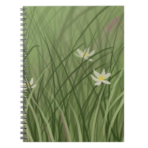 Carnet Été