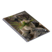 Carnet Été - American Pica (Côté Droit)