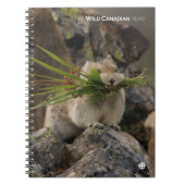 Carnet Été - American Pica (Devant)