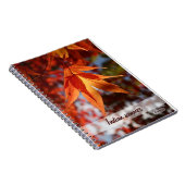 Carnet Été indien (Côté Droit)