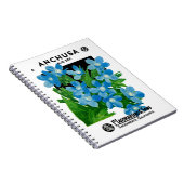 Carnet Étiquette de paquets de semences Anchusa (Côté Droit)