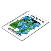 Carnet Étiquette de paquets de semences Anchusa (Côté gauche)